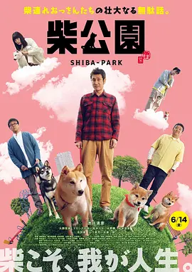 女人的战争：窥视的眼睛