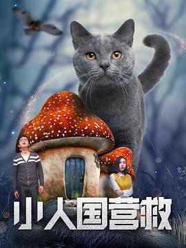 xx免费视频