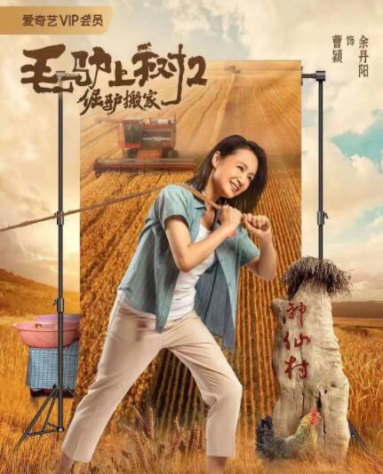 欧美一区不卡