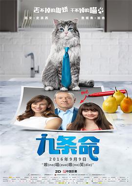 视频在线一区二区
