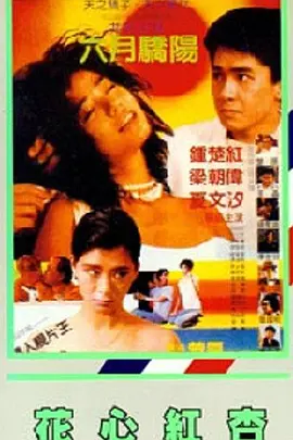 久久综合免费视频