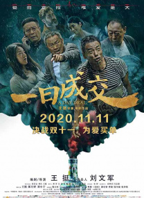 国产精品久久久久aaaa